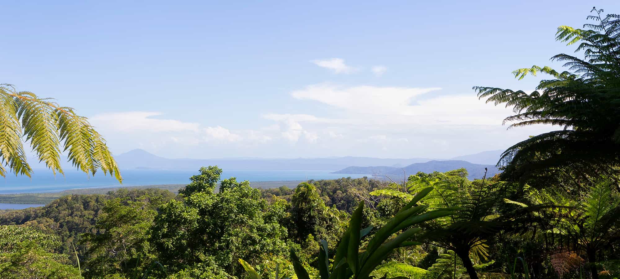 Must-Do Hikes and Walking Trails in North Queensland