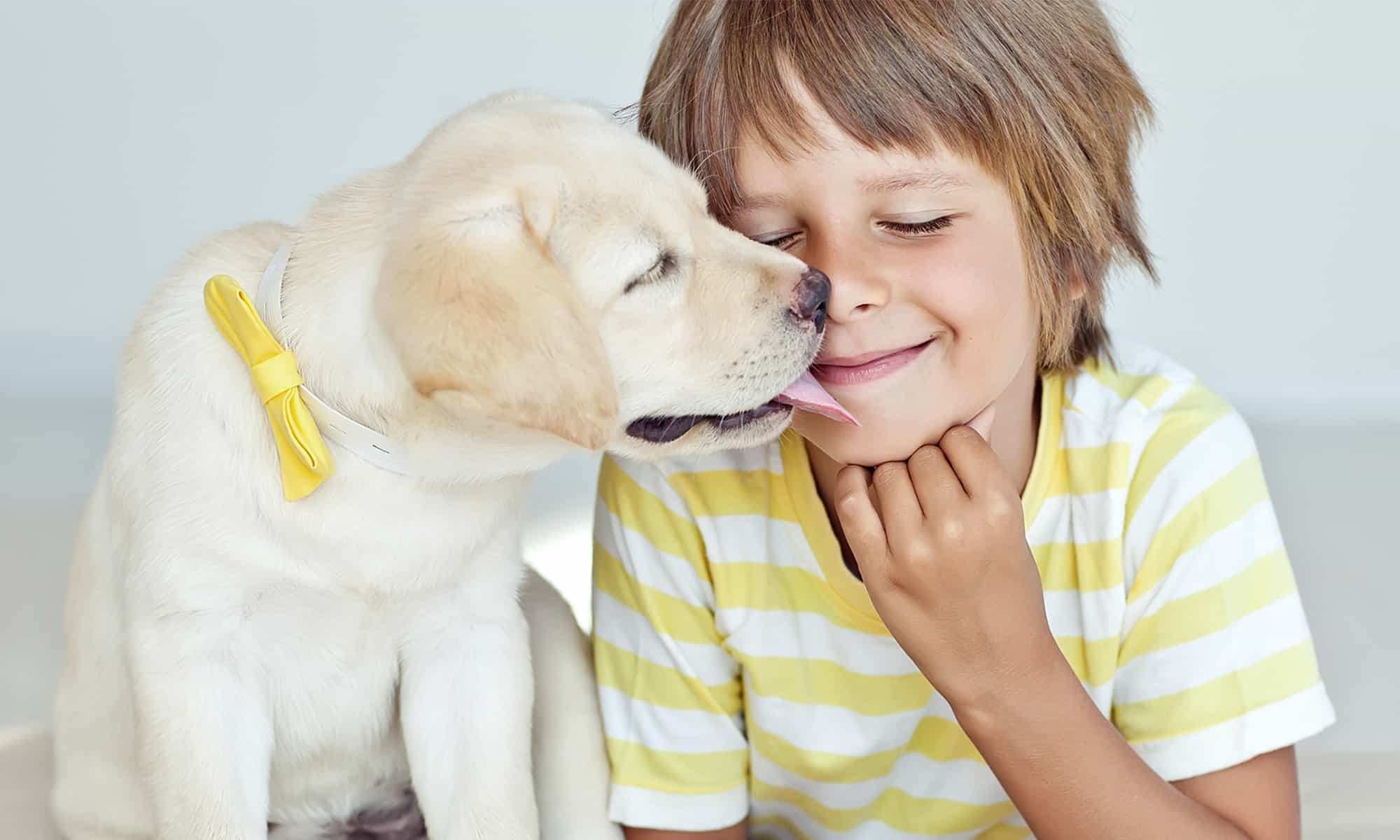 What Is the Ideal First Pet for My Child?