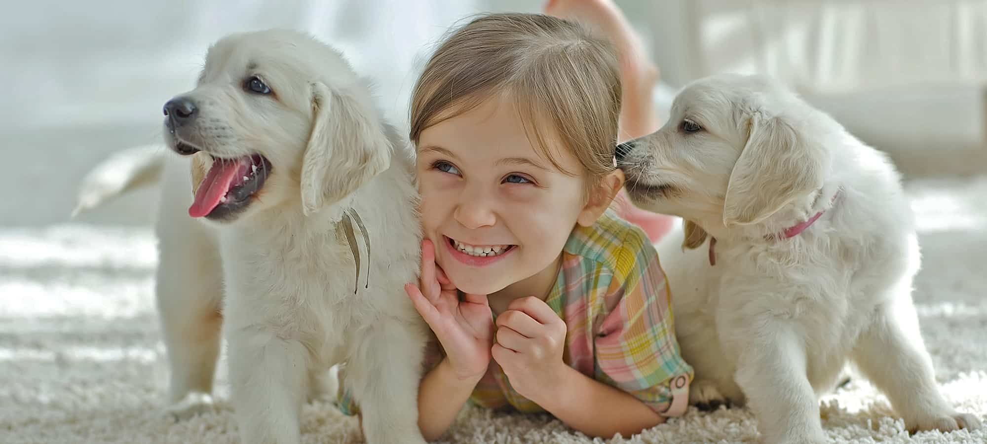 What Pets Should We Avoid if We Want an Easy First Pet?