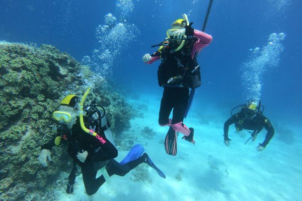 Diving To Build A Deeper Connection with Pro Dive Cairns