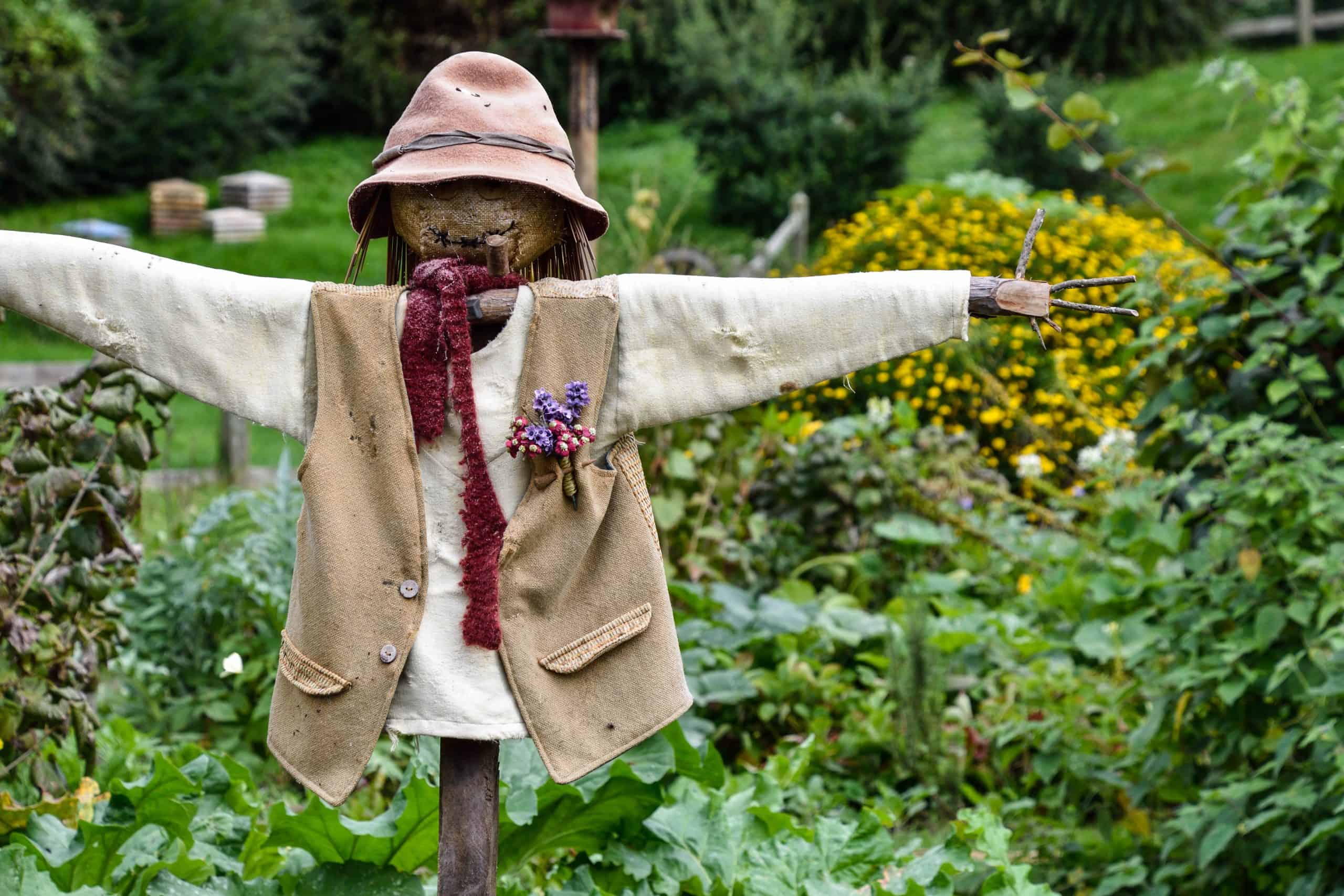 Join The Cairns Show Scarecrow Competition 2023!